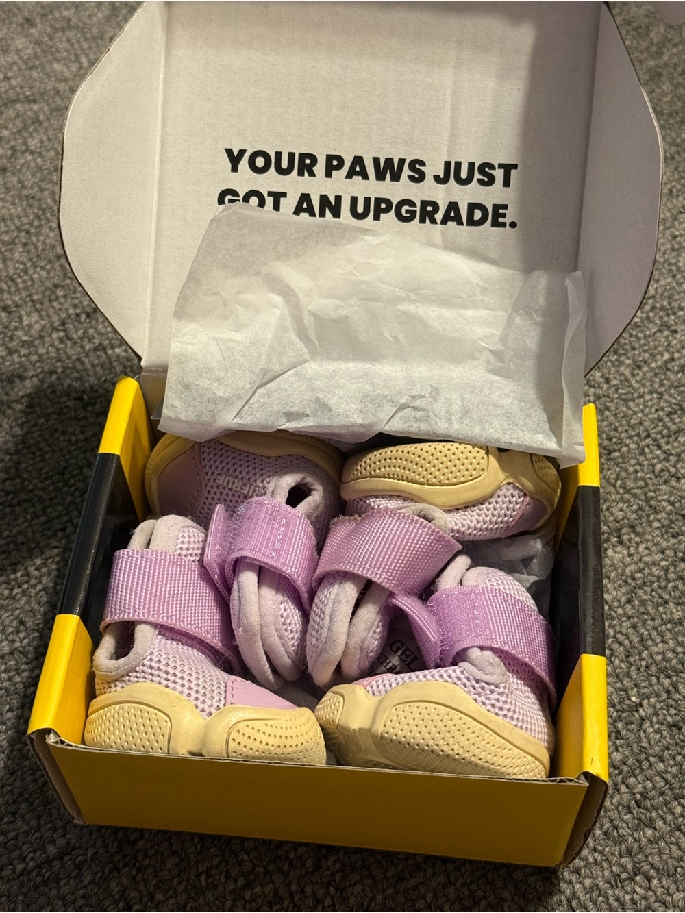 RifRuf dog sneakers - Taro, size 2